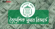 ৪৪ মাস পর রিজার্ভ আবার ৩৬ বিলিয়ন ডলারে ফিরল
