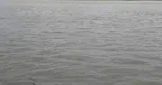 আন্তঃসীমান্ত নদীর পানি বণ্টন চুক্তি পর্যালোচনা করছে সরকার: পানিসম্পদমন্ত্রী