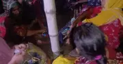 বিজিবির তৎপরতায় গোমস্তাপুর সীমান্তে ১৫ জনকে ঠেলে দেওয়ার চেষ্টা ব্যর্থ