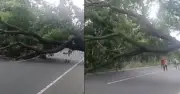 চট্টগ্রাম-৪ আসনে বিএনপির প্রার্থীর প্রার্থিতা বাতিলের প্রতিবাদে মহাসড়ক অবরোধ