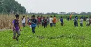 কুড়িগ্রাম সীমান্তে বিএসএফের পুশব্যাক, ৯ জন আটকা