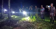 বিএসএফের পুশইন চেষ্টা ব্যর্থ, বিজিবির তৎপরতায় ১১ জন ফিরল