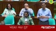 বাজেট নতুন বাংলাদেশ গড়ার সাহসী পরিকল্পনা: হুইপ বকুল