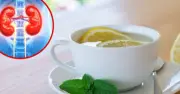 কিডনি রোগীরা কি লেবু জল পান করতে পারেন? জানুন বিশেষজ্ঞ মতামত