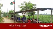 যমুনা নদী ভাঙনে বিলীন শতবর্ষী স্কুল, রাস্তায় পাঠদান