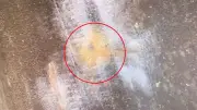 রাজধানীর টেকনিক্যাল মোড়ে ককটেল বিস্ফোরণ, হতাহত নেই