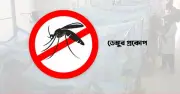 ২৪ ঘণ্টায় ডেঙ্গু আক্রান্ত ১১৩ জন, মৃত্যু ১ জনের