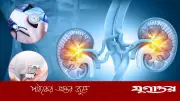 ডায়াবেটিস ও হাইপ্রেশার: নীরবে কিডনি নষ্ট করে যেভাবে, বাঁচার উপায়