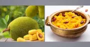 সুস্বাদু কাঁঠালের হালুয়া তৈরির সহজ রেসিপি