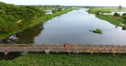 ভাড়া দিতে না পেরে পরিবারের ৪ জনের আত্মহত্যা, কেরালায় মর্মান্তিক ঘটনা