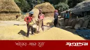 ঘরে বসেই কৃষক অ্যাপে সরকারিভাবে ধান বিক্রি সম্ভব: খাদ্য প্রতিমন্ত্রী