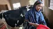 দারিদ্র্য জয় করে সফল উদ্যোক্তা কাজলী বেগমের গল্প