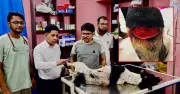 পথকুকুর জখমের অভিযোগে ফার্নিচার ব্যবসায়ী গ্রেপ্তার