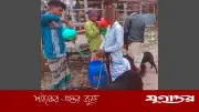 ছাগলকে মোটাতাজা করতে গলায় নল দিয়ে পানি খাওয়ানোয় মৃত্যু, আটক ২