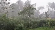 ইরানে মার্কিন হামলা অব্যাহত, ভেনেজুয়েলায় ভূমিকম্প: বিচ্ছেদ ঘটালেন আলোচিত চিকিৎসক দম্পতি