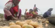 ইসলামী ব্যাংকের আরডিএস ঋণ নিয়ে বিতর্ক: পরিসংখ্যানে বিভ্রাট