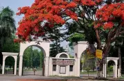 ইসলামী বিশ্ববিদ্যালয়ে শিক্ষক হত্যার তদন্তে নতুন কমিটি গঠন