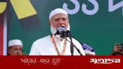 অল্পতেই ধৈর্য হারালে দায়িত্ব কীভাবে পালন করবেন: ডা. শফিকুর রহমান
