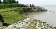 যমুনার ভাঙনে সিরাজগঞ্জে তীররক্ষা বাঁধের ৩০ মিটার নদীগর্ভে