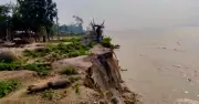 যমুনা নদীর ভাঙনে জামালপুরে শতাধিক পরিবার গৃহহীন, ৮ কোটি টাকার সম্পদ হুমকিতে