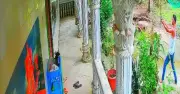 লক্ষ্মীপুরে যুবদল নেতার ছোট ভাই বড় ভাইয়ের ঘরে গুলি, ভিডিও ভাইরাল