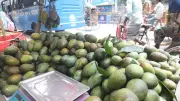 বগুড়ায় আমের বাজার জমজমাট, দামে নাভিশ্বাস ক্রেতাদের