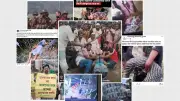 নারী-শিশু নির্যাতনকে কেন্দ্র করে সামাজিক মাধ্যমে অপতথ্যের ছড়াছড়ি