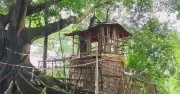 কবরস্থানে ‘স্বপ্নাদিষ্ট পীর’-এর আস্তানা, এলাকায় আতঙ্ক