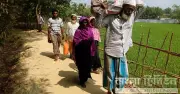 ডিসেম্বর থেকে মে মাসে ১ লাখ ৫২ হাজার রোহিঙ্গা নিবন্ধিত