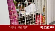 গাজীপুরে কারখানার পানি পান করে অর্ধশতাধিক শ্রমিক অসুস্থ