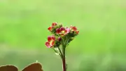 ছবিতে বাংলাদেশ: ঝিরিঝিরি বৃষ্টি থেকে পাহাড়ি শিশুদের স্কুলযাত্রা