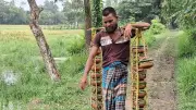দেশজুড়ে নানা ঘটনার ছবি: শ্বেতপদ্ম থেকে সড়ক দুর্ঘটনা