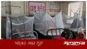 পিরোজপুরে ডেঙ্গু আক্রান্তের সংখ্যা শীর্ষে, একদিনে ২০ জন শনাক্ত