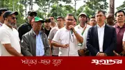 আসুন সন্তানদের জন্য একটি করে গাছ লাগাই: প্রধানমন্ত্রী