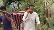 বাঁশের মাচায় প্রসূতিকে হাসপাতালে নেওয়ার ভিডিও ভাইরাল