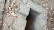 প্রাথমিকে বাধ্যতামূলক খেলাধুলা, প্রজ্ঞাপন জারি; করমুক্ত আয়ের সীমা ৪ লাখ টাকা করার প্রস্তাব