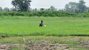 দেওয়ানগঞ্জ সীমান্তে পুশইনের চেষ্টা, বিজিবির বাধায় শূন্যরেখায় যুবক