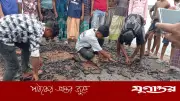 হাত দিয়ে টানলেই উঠে আসছে সড়কের পিচঢালাই, কয়রায় অনিয়মের অভিযোগ