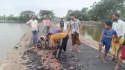 তিন দিনের মাথায় পিচ উঠে যাচ্ছে, ক্ষুব্ধ এলাকাবাসী কাজ বন্ধ করলেন