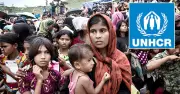 রোহিঙ্গা সংকট: বিশ্বের রাষ্ট্রহীন জনগোষ্ঠীর ৪১ শতাংশই রোহিঙ্গা