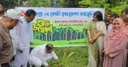 বৃক্ষরোপণ কর্মসূচির উদ্বোধন করলেন প্রতিমন্ত্রী সুলতান সালাউদ্দিন টুকু
