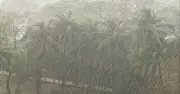 দেশের ১১ জেলায় ঝড়ের পূর্বাভাস, দুপুরের মধ্যে দমকা হাওয়া ও বৃষ্টির সম্ভাবনা