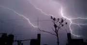 সাভারে বজ্রপাতে তিন কৃষকের মৃত্যু, নিহতের পরিচয় শনাক্তে চেষ্টা