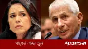 তুলসি গ্যাবার্ডের অভিযোগ: উহানে বিপজ্জনক গবেষণায় ফাউচি জড়িত
