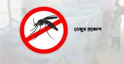 ২৪ ঘণ্টায় ডেঙ্গুতে ২ জনের মৃত্যু, হাসপাতালে ১৫৭ জন