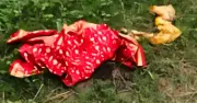 সিরাজগঞ্জে মহাসড়কের পাশ থেকে অজ্ঞাত নারীর মরদেহ উদ্ধার