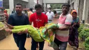 ভিডিওতে বাংলাদেশের খালা: প্রথম আলোর বিশেষ প্রতিবেদন
