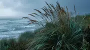 শীতকালে বাতাস কেন শরীরে বেশি ঠান্ডা লাগায়?