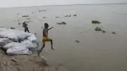 রংপুরে বিশ্বকাপ ফুটবলের উল্লাস, পাহাড়ে নানা কলার পসরা