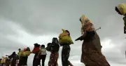 শরণার্থী সুরক্ষায় বিশ্বের ঐক্যবদ্ধ পদক্ষেপ জরুরি